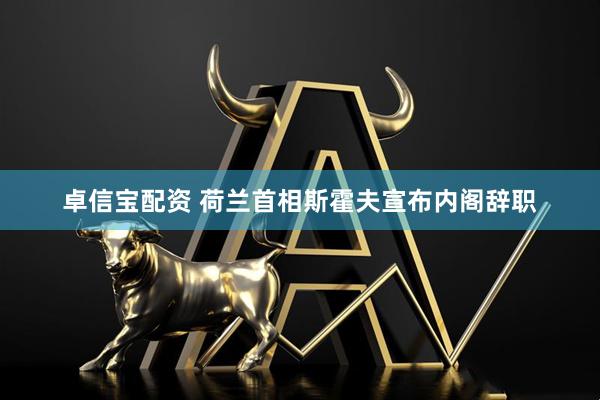 卓信宝配资 荷兰首相斯霍夫宣布内阁辞职