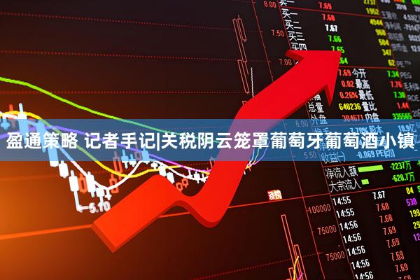 盈通策略 记者手记|关税阴云笼罩葡萄牙葡萄酒小镇
