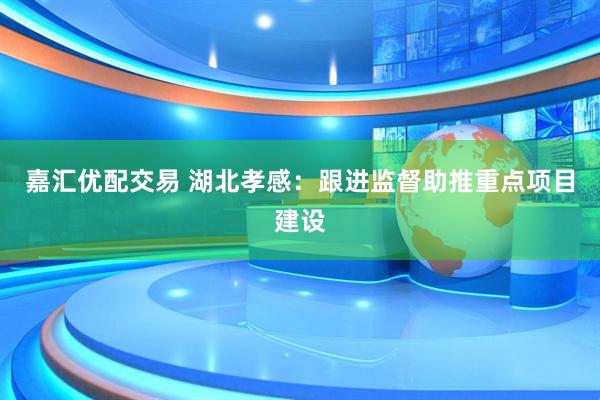 嘉汇优配交易 湖北孝感：跟进监督助推重点项目建设